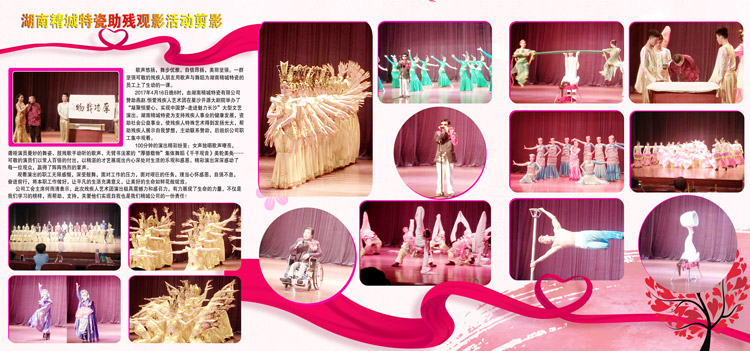 湖南J9集团赞助燕赵·恒爱残疾人艺术团圆满演出