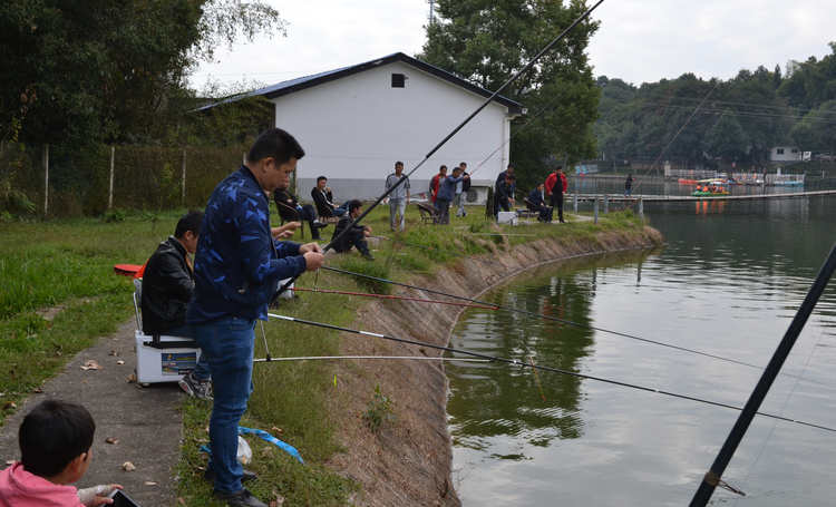 首页 | J9集团有限公司官网